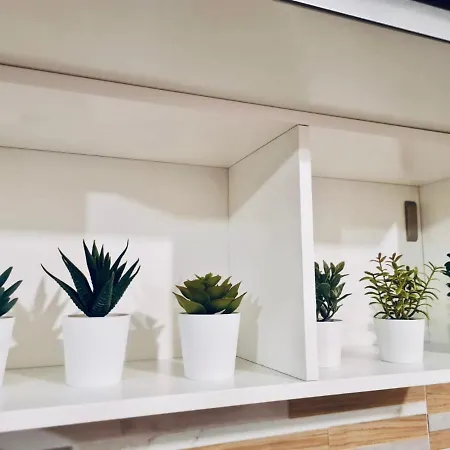 St. Peter's Stone * Rome